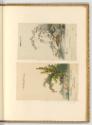 Radierungen von und nach Johann Elias Ridinger, Zibetkatze und Genette, Inv. Nr.: Deutsch nach …
