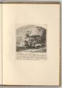Radierungen von und nach Johann Elias Ridinger, Das Rennthier, Inv. Nr.: Deutsch nach Sektionen…