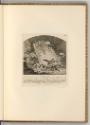 Radierungen von und nach Johann Elias Ridinger, Wilde Enten, Inv. Nr.: Deutsch nach Sektionen I…