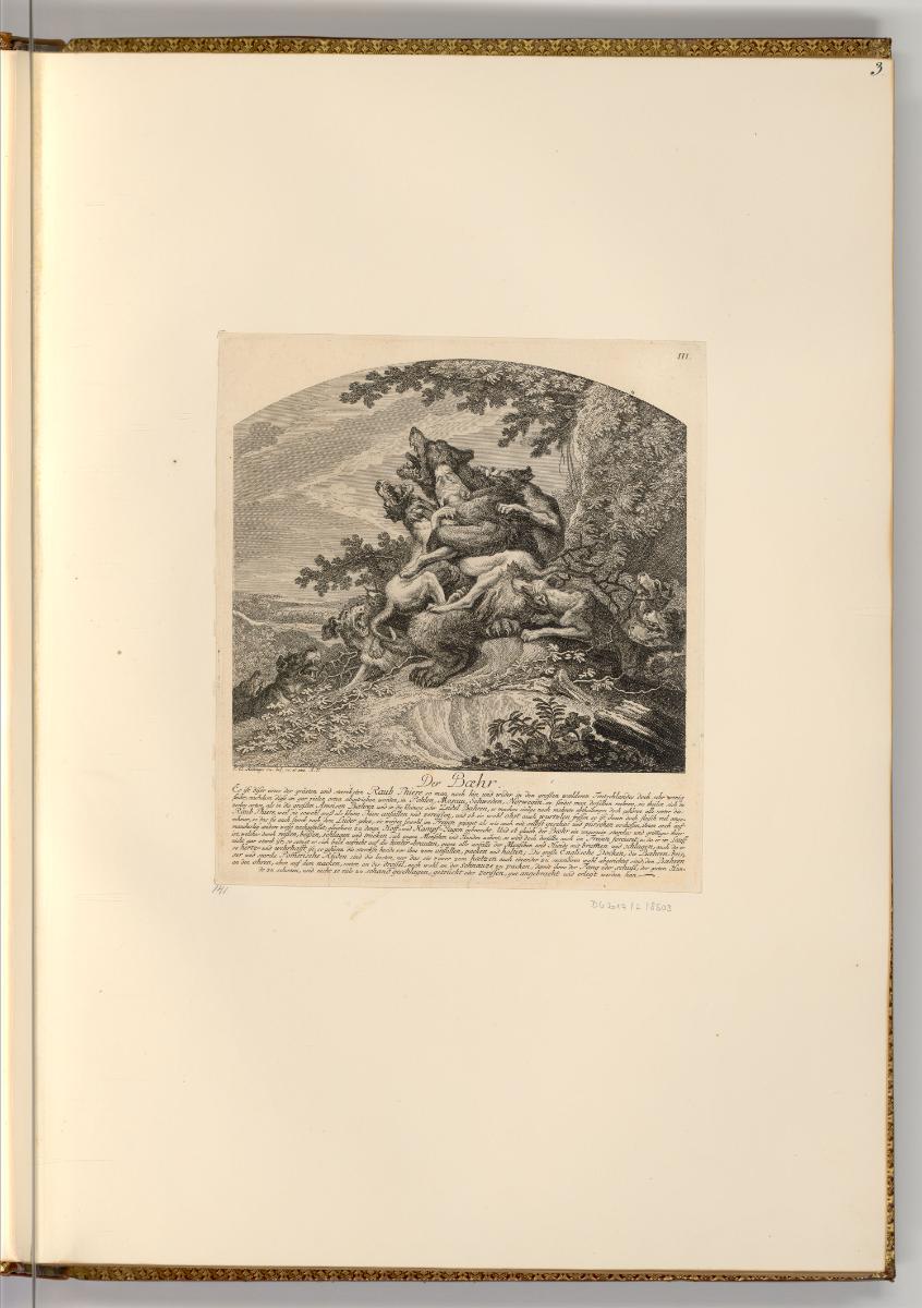 Radierungen von und nach Johann Elias Ridinger, Der Baehr, Inv. Nr.: Deutsch nach Sektionen III…