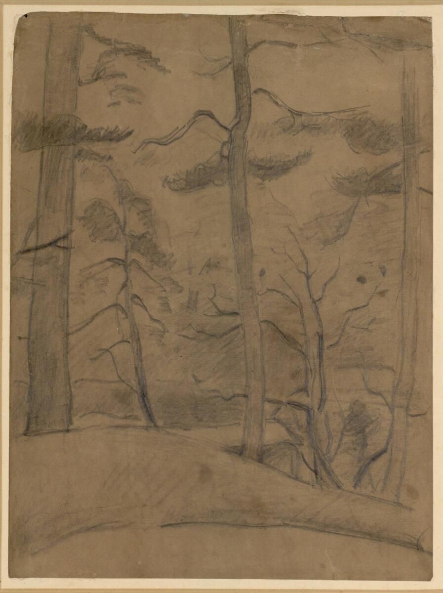 Paul Cézanne, Waldstück, Inv. Nr.: 24080r