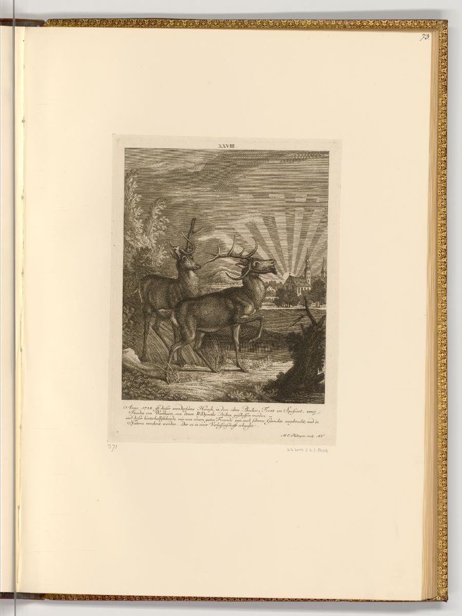 Radierungen von und nach Johann Elias Ridinger, Hirsche, Inv. Nr.: Deutsch nach Sektionen III/1…