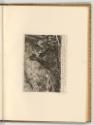 Radierungen von und nach Johann Elias Ridinger, Adler und Wasservogel, Inv. Nr.: Deutsch nach S…