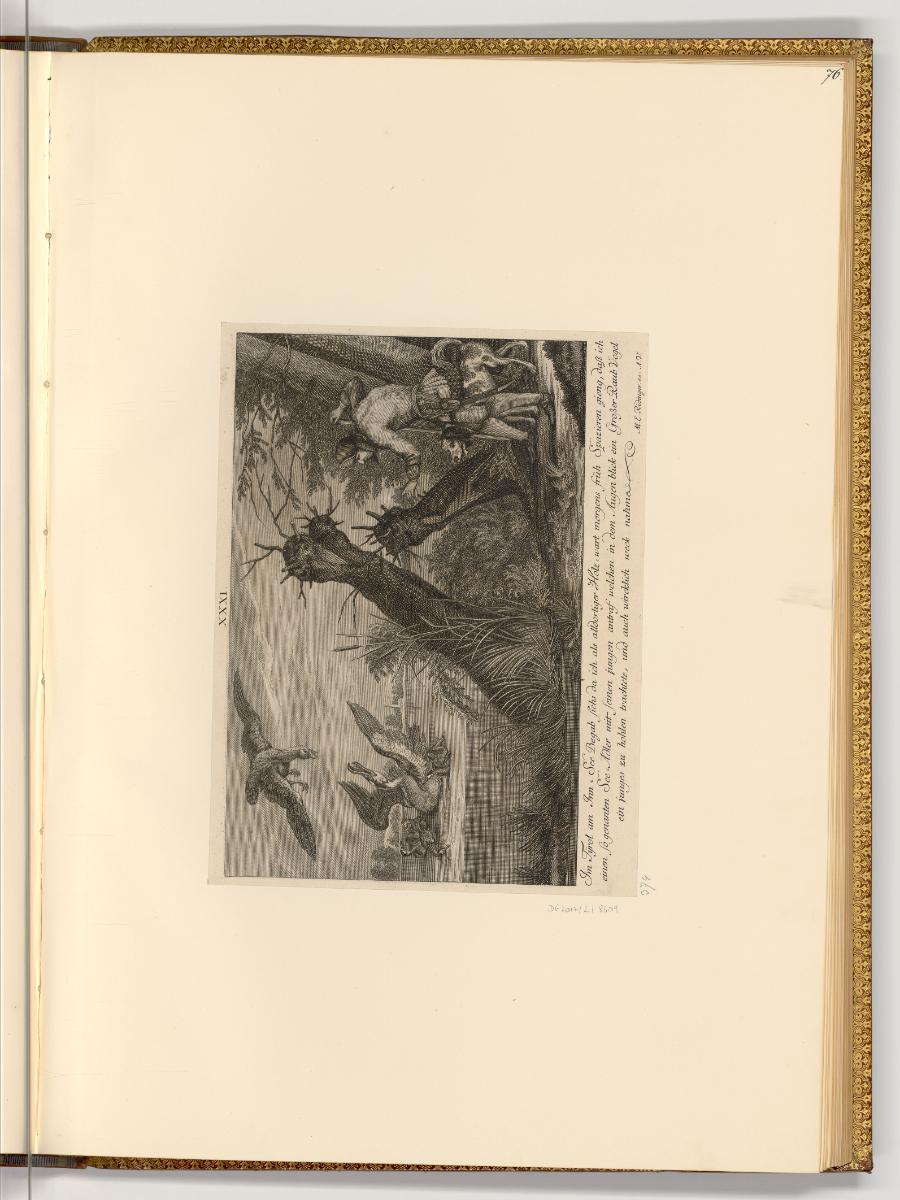 Radierungen von und nach Johann Elias Ridinger, Adler und Wasservogel, Inv. Nr.: Deutsch nach S…