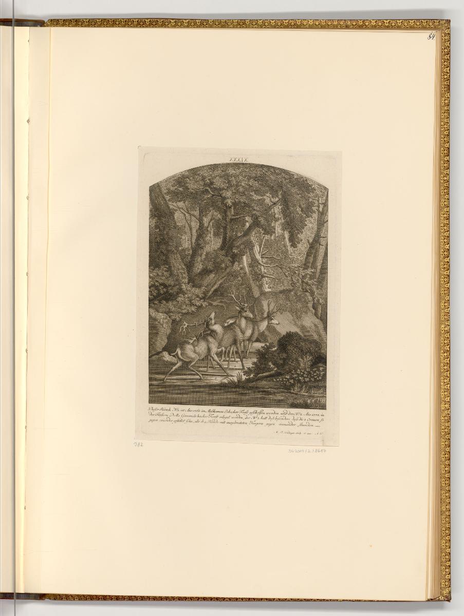 Radierungen von und nach Johann Elias Ridinger, Hirsche, Inv. Nr.: Deutsch nach Sektionen III/1…