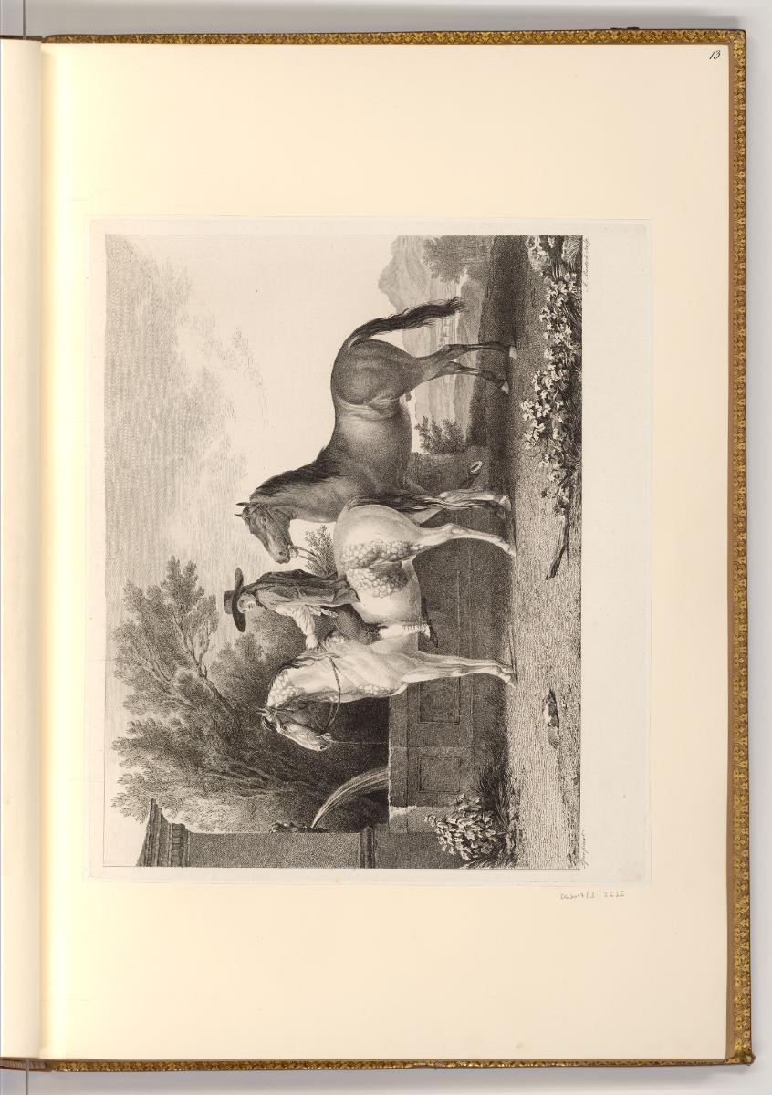 Druckgrafiken von Adam von Bartsch, Spanische Pferde, Inv. Nr.: Deutsch nach Sektionen III/33, …