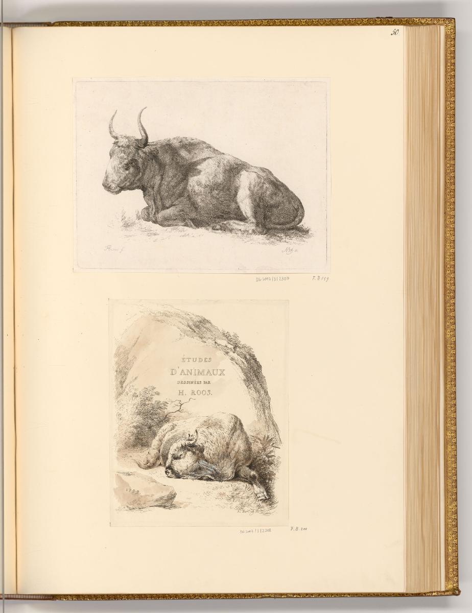 Druckgrafiken von Adam von Bartsch, Liegender Ochse im Profil nach links; Études d'Animaux dess…