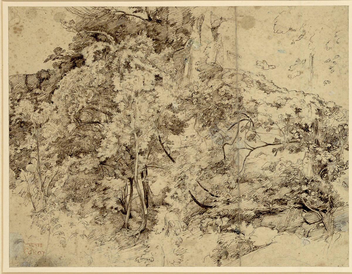 Jean-Baptiste Camille Corot, Waldlandschaft, Inv. Nr.: 24192r