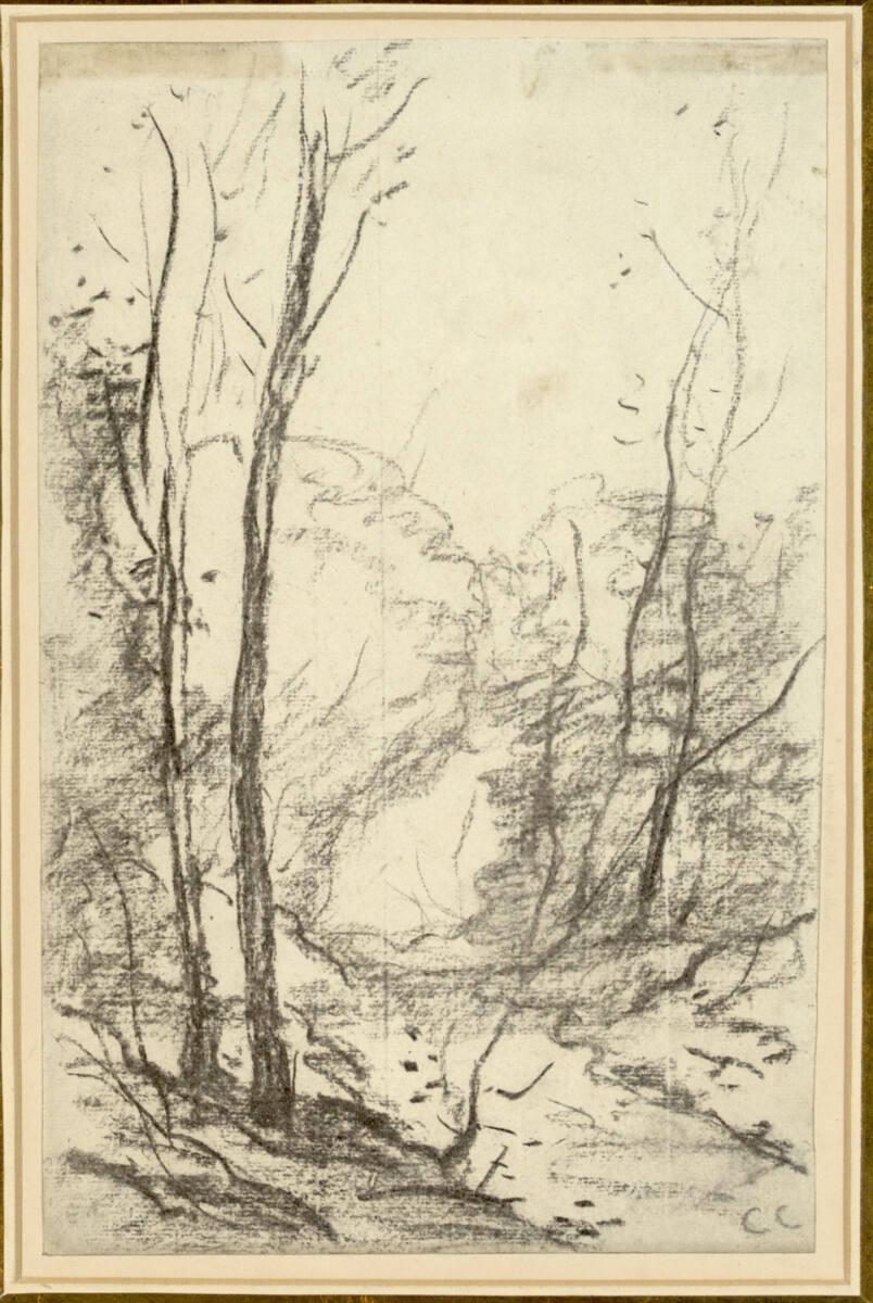 Jean-Baptiste Camille Corot, Waldweg, Inv. Nr.: 24196