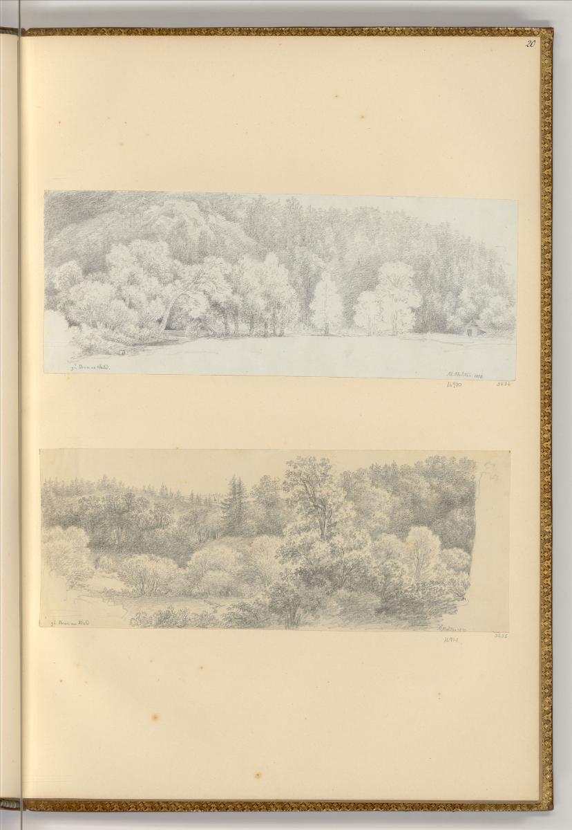 Martin von Molitor, Zeichnungen von Martin von Molitor, Waldpartie bei Brunn am Wald, Inv. Nr.:…