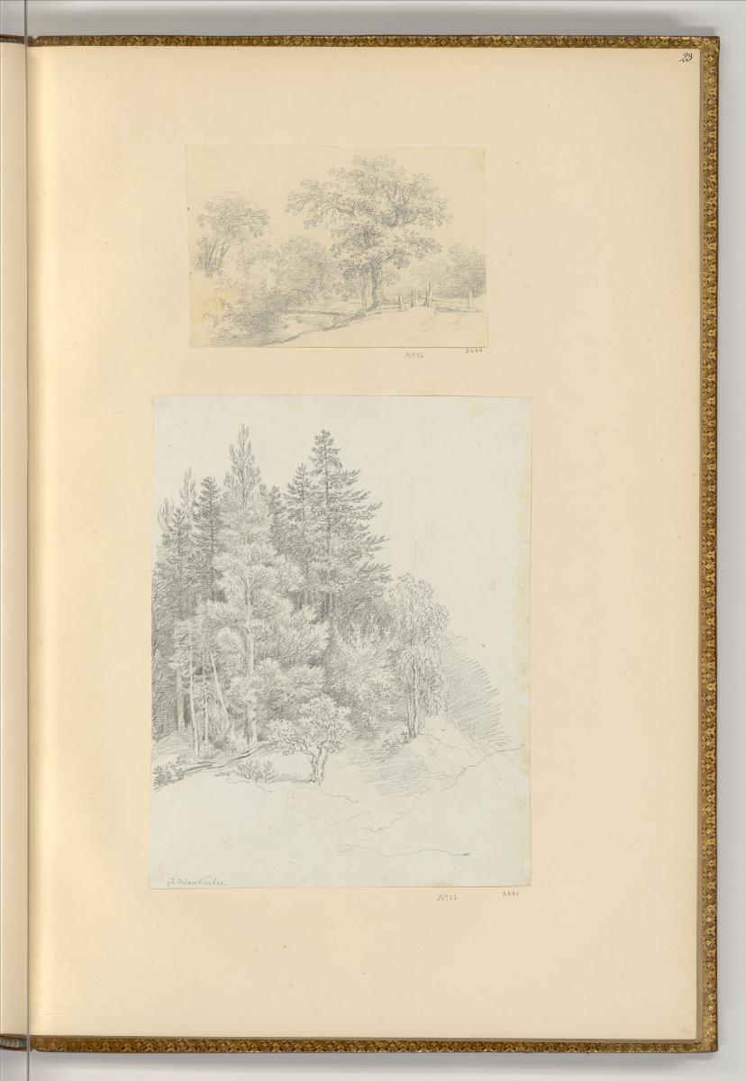 Martin von Molitor, Zeichnungen von Martin von Molitor, Bachwehre und Baum; Fichtengruppe, Föhr…