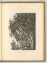 Radierungen von Karl Wilhelm Kolbe, Landschaftliche Idylle, Inv. Nr.: Deutsch nach Sektionen II…