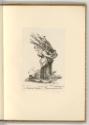 Radierungen von und nach Johann Christian und Friedrich August Brand., Mädel mit Waldholz, Inv.…