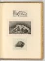 Deutsche Radierungen des späten 18. und frühen 19. Jahrhunderts, Schlafende Hunde; Tierstudie m…