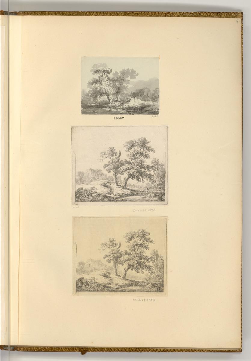 Zeichnungen und Druckgrafiken von Martin von Molitor, Baumstudie, Inv. Nr.: Deutsch nach Sektio…