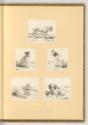Wilhelm Alexander Wolfgang von  Kobell, Druckgrafiken von und nach Wilhelm von Kobell, Hunde, I…