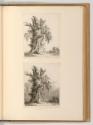 Radierungen von Francois Gabet, Bäume, Inv. Nr.: Deutsch nach Sektionen III/45, D/III/45/27
