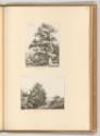 Radierungen von Francois Gabet, Baumgruppe im Prater; Ein Waldweg, Inv. Nr.: Deutsch nach Sekti…