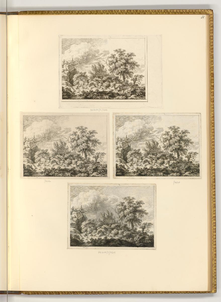 Radierungen von Lorenz Schönberger und Anton Kölbl, Baumlandschaft, Inv. Nr.: Deutsch nach Sekt…
