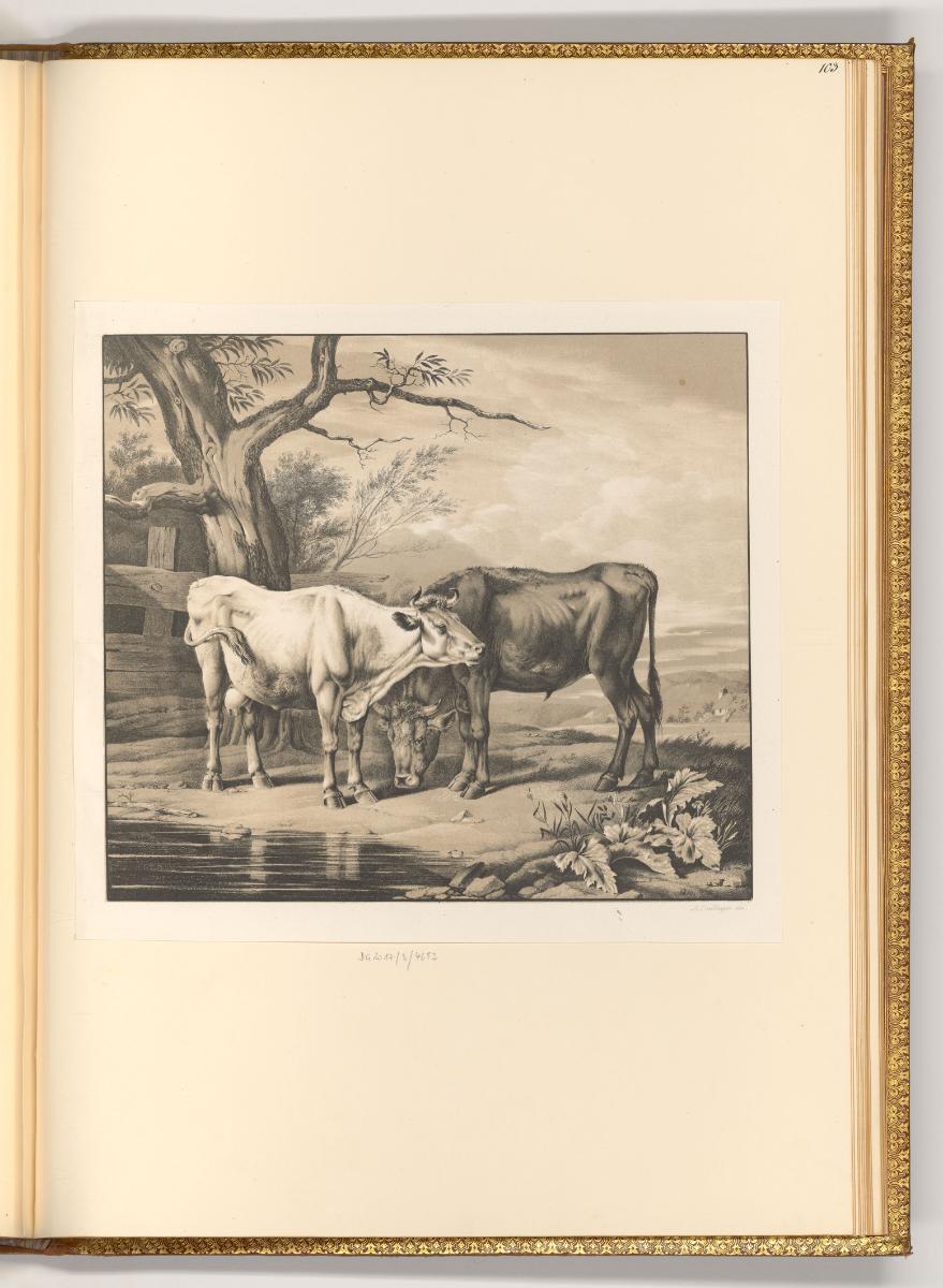 Deutsche Druckgrafiken des späten 18. und 19. Jahrhunderts, Eine Kuh und ein Stier am Wasser, I…