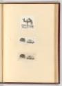 Radierungen von Ludwig Emil Grimm und Georg Christian Wilder, Kamel; Mäuse, Inv. Nr.: Deutsch n…