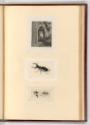 Radierungen von Ludwig Emil Grimm und Georg Christian Wilder, Eule; Käfer, Biene, Inv. Nr.: Deu…