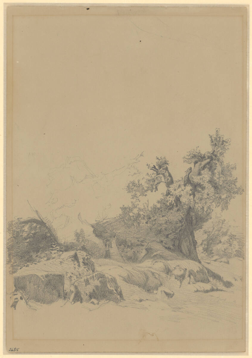 Landschaftsstudie mit Felsen und Gebüsch, Carl Schuch