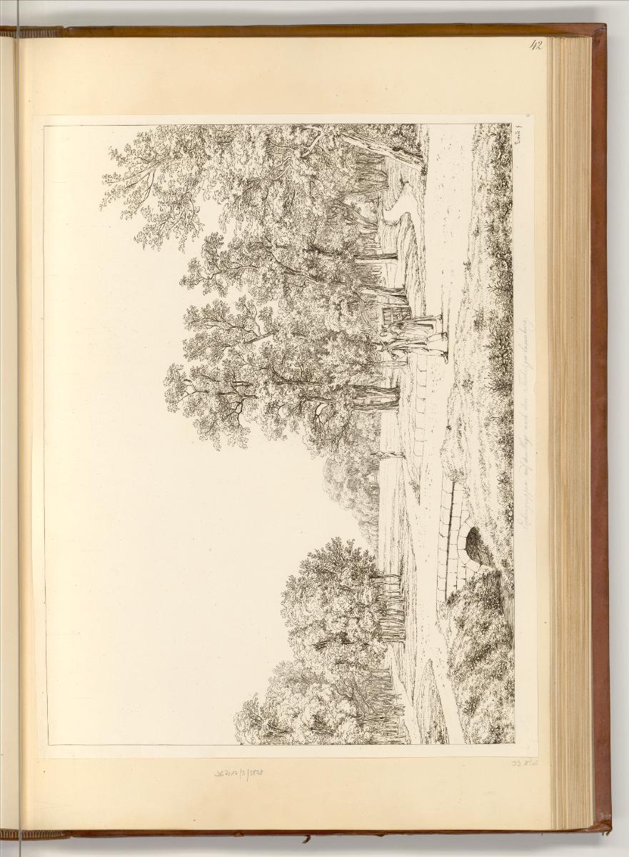 Radierungen Johann Christoph Erhard, Ansicht der Eichengruppen, Inv. Nr.: Deutsch nach Sektione…