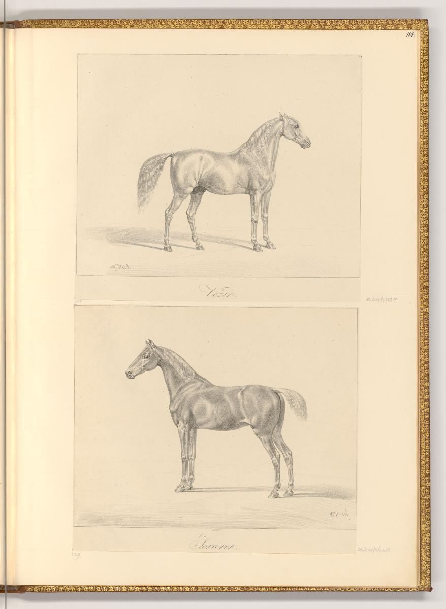 Radierungen von Johann Adam Klein, Pferde, Inv. Nr.: Deutsch nach Sektionen III/54, D/III/54/11…