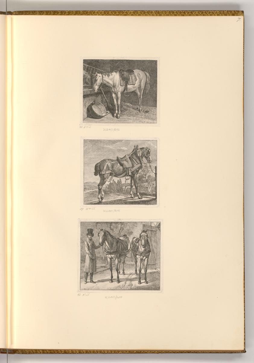 Radierungen von Johann Adam Klein, Pferde mit Geschirr, Inv. Nr.: Deutsch nach Sektionen III/54…