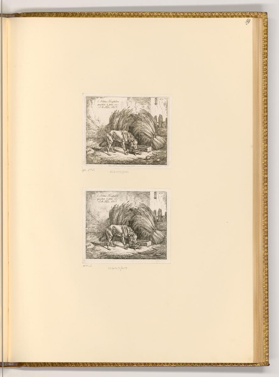 Radierungen von Johann Adam Klein, 6 Blätter Thierstudien gezeichnet & geäzt von J. A. Klein 18…
