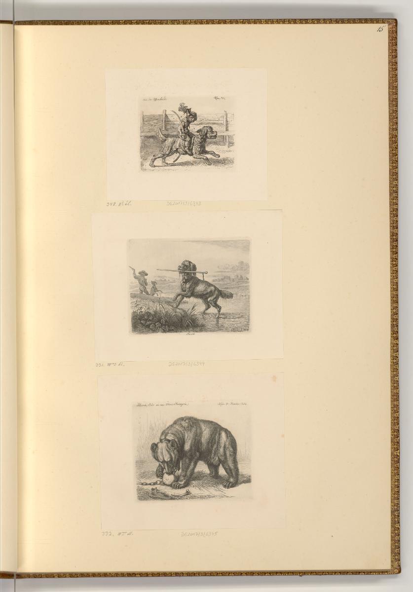 Radierungen von Johann Adam Klein, Hunde und Bär, Inv. Nr.: Deutsch nach Sektionen III/55, D/II…