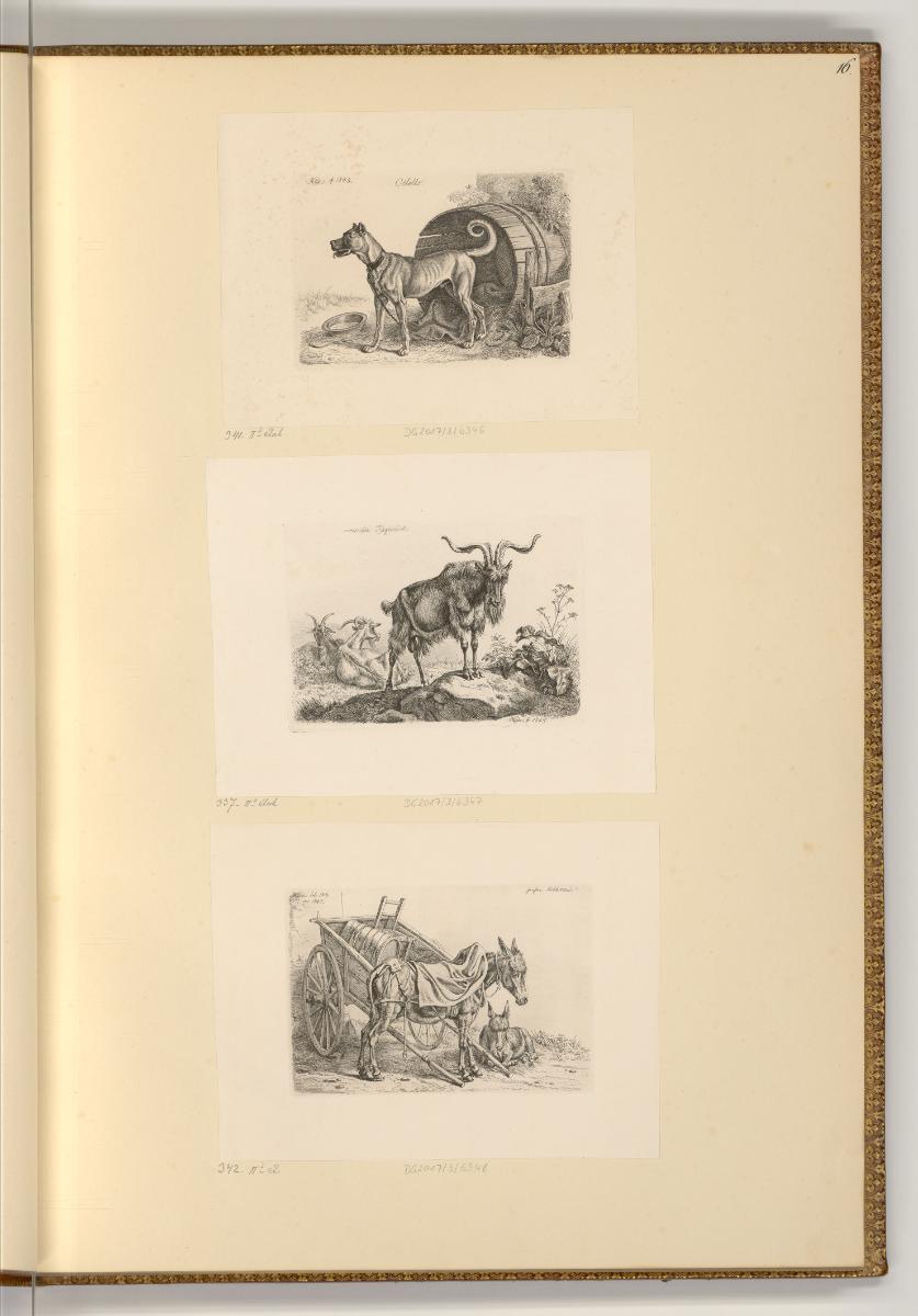 Radierungen von Johann Adam Klein, Hund; Ziegenbock; Esel mit Fuhrwerk, Inv. Nr.: Deutsch nach …