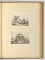 Radierungen von Johann Adam Klein, Kameel und Dromedar; Reisender mit Lastentier, Inv. Nr.: Deu…