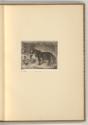 Radierungen von Johann Adam Klein, Pferd in einem Stall, Inv. Nr.: Deutsch nach Sektionen III/5…