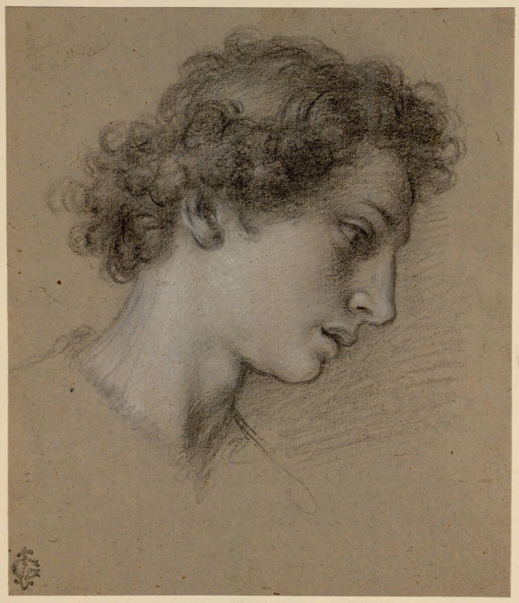 Francesco Curradi, Jünglingskopf im Profil nach rechts geneigt, Inv. Nr.: 24537