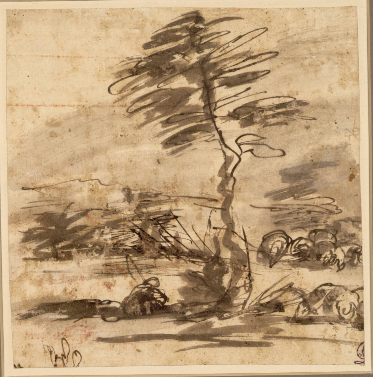 Schäfer mit Herde unter einem Baum, der das Blatt in zwei Teile zu teilen scheint, Giovanni Battista Pace