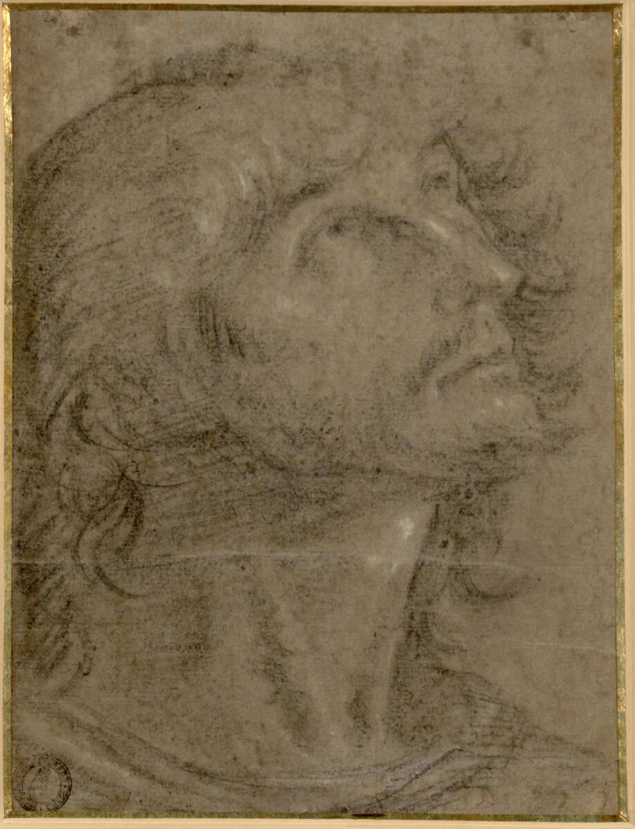 Anonym, Männlicher Kopf, nach rechts oben blickend (wohl Johanneskopf), Inv. Nr.: 24657