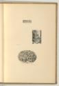 Cesare Reverdino; Lor.e Giul. di Musi; Giulio Sannuti und Diverse, Diverse Darstellungen, Inv. …