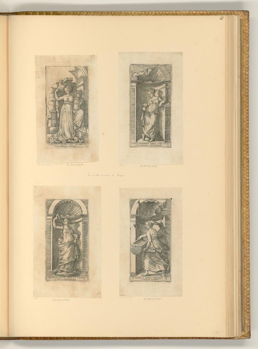 Cesare Reverdino; Lor.e Giul. di Musi; Giulio Sannuti und Diverse, Sibyllen, Inv. Nr.: Italien …