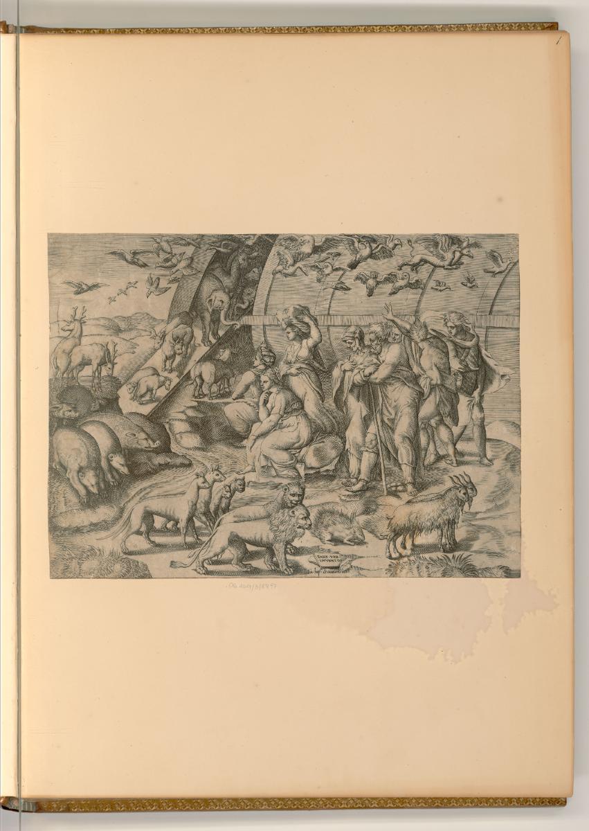 Giambattista Cavalleri, Arche Noah, Inv. Nr.: Italien nach Sektionen I/32, It/I/32/1