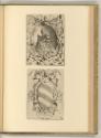 Nicolo Nelli. Domenico Zenoi., Porträt und Wappen Papst Pius V., Inv. Nr.: Italien nach Sektion…