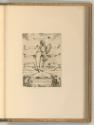 Aliprando Caprioli; Girolamo Olgiati, Miles Christianus, Inv. Nr.: Italien nach Sektionen I/36,…