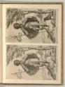 Oevres de Cherubino Alberti né 1552 mort 1615, Hl. Rochus von Montpellier, Inv. Nr.: Italien na…