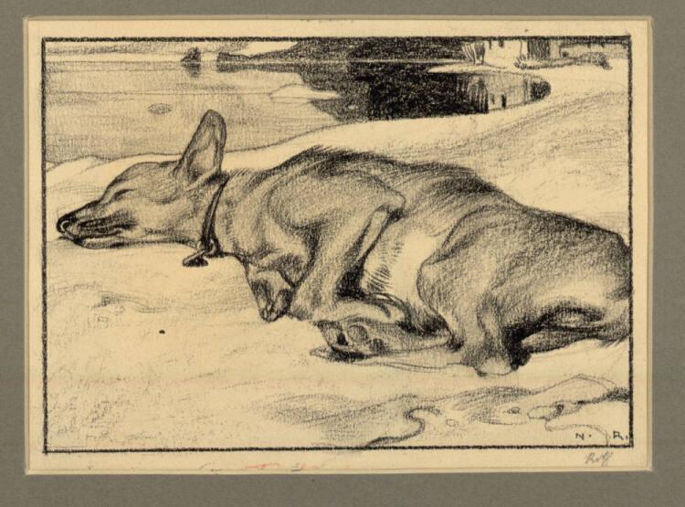 Norbertine von Bresslern-Roth, Liegender Hund, Inv. Nr.: 24926