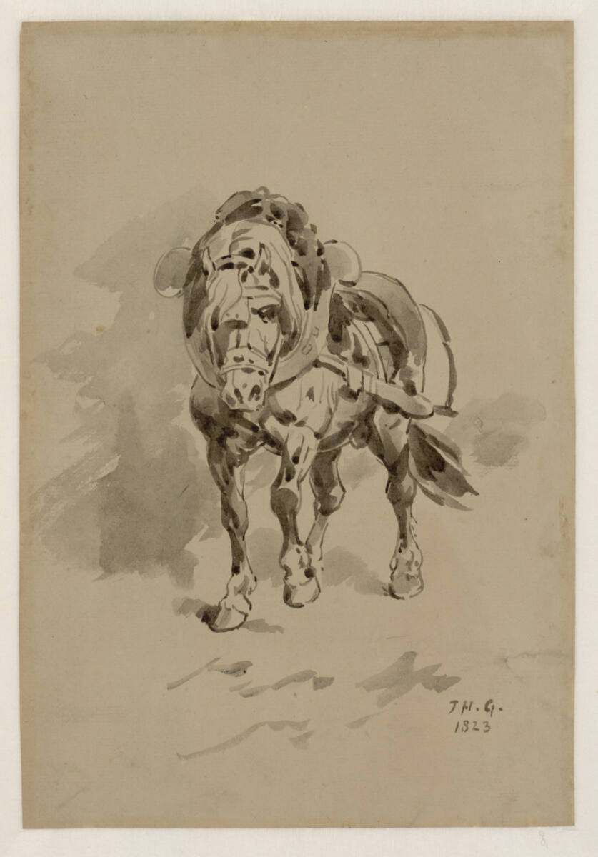 Aufgezäumtes Pferd in Vorderansicht