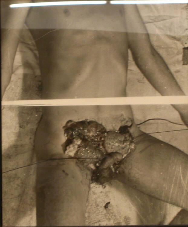 Hermann Nitsch, 20. Aktion, Das Orgien Mysterien Theater, 1966 - Atelier Nitsch, Wien, Inv. Nr.…