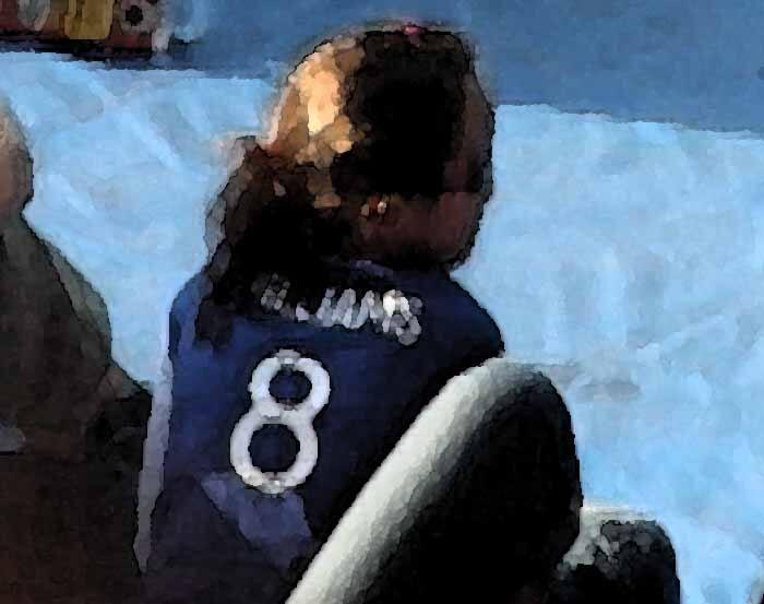 Bettina Pousttchi, Fans 2, Inv. Nr.: EDLSA11