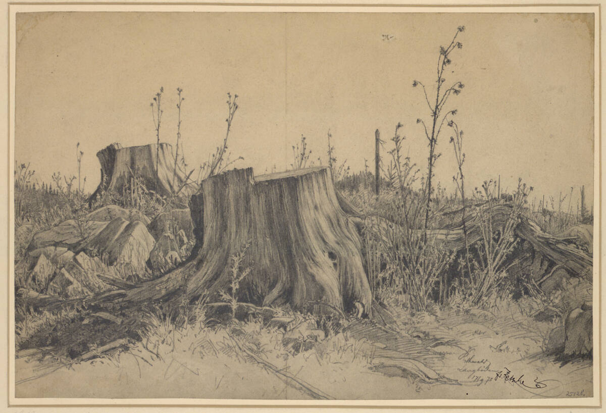 Rothwald Langböden, Eduard Zetsche, 1875