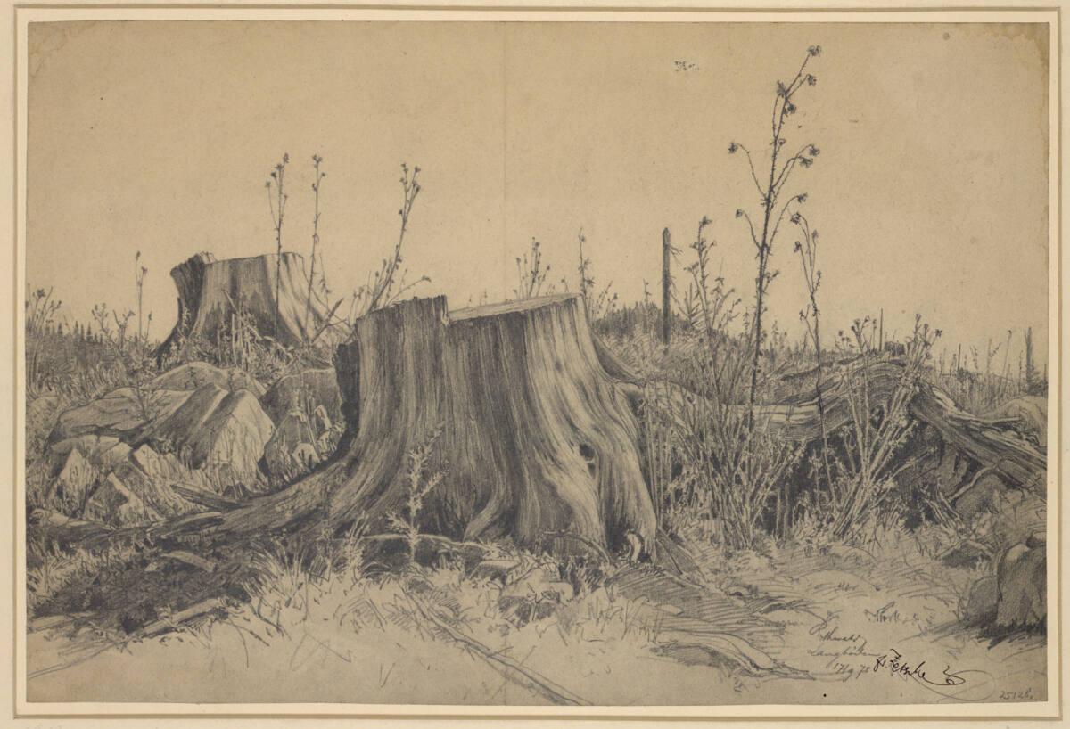 Eduard Zetsche, Rothwald Langböden, Inv. Nr.: 25128